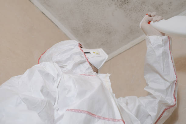 Best Affordable Mold Removal  in Toftrees, PA