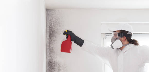 Best Mold Testing  in Toftrees, PA
