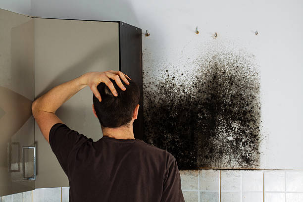 Best Mold Cleaning Services  in Toftrees, PA